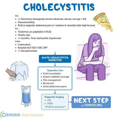 Gallbladder Cholelithiasis Vs Cholecystitis Vs Cholangitis Vs