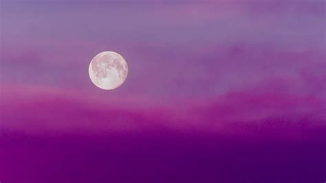 Download Purple Night Sky With Moon Wallpaper | Wallpapers.com