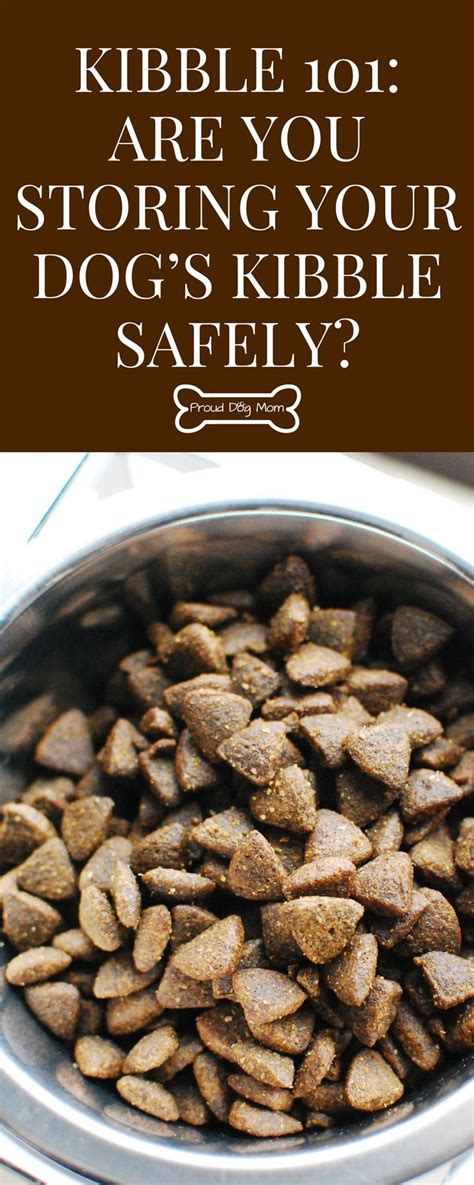 Kibble 101: Are You Storing Your Dog's Kibble Safely? - Proud Dog Mom ...