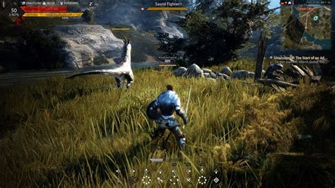 Black Desert Online Update 2.07 Addresses Crash Issues To Optimise ...