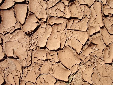 Mud Texture Free Photo Download | FreeImages