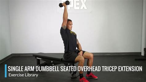 Single Arm Dumbbell Seated Overhead Tricep Extension Opex Exercise