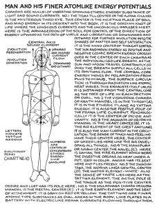 Polarity Therapy Volume 2 Book 6 Chart 10 Polarity Therapy Pranic