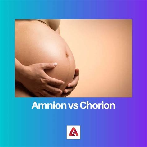 Amnion vs Chorion: Difference and Comparison