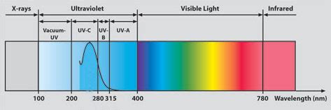 Ultraviolet Radiation