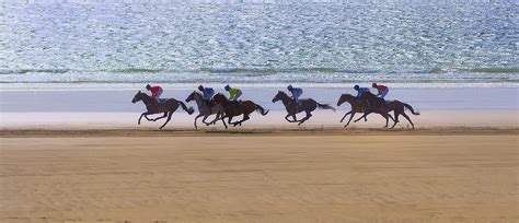 Horse racing on the beach Photograph by Frank Fullard - Pixels