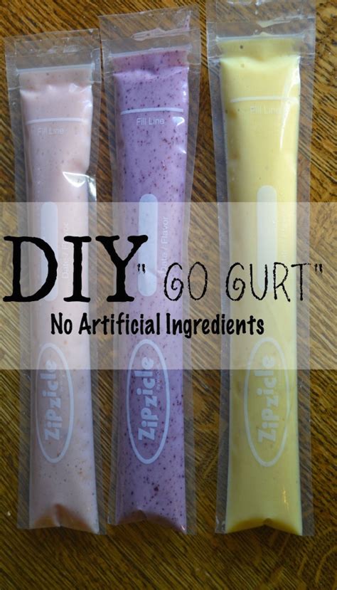 DIY Go-gurt – Edible Crafts