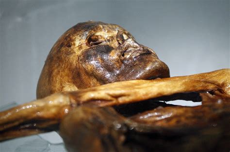 5000 Year Old Iceman Had Dark Skin And A Receding Hairline Science