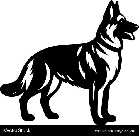 Portrait Of A German Shepherd Dog Isolated Vector Image