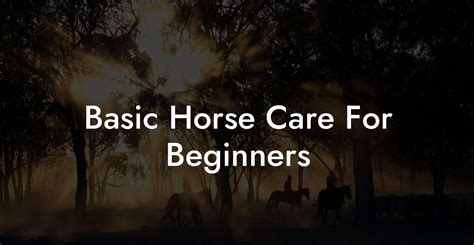 Basic Horse Care For Beginners How To Own A Horse