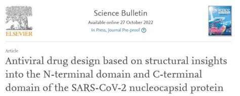 【科技前沿】张抒扬 薛毅 徐华强合作揭示新冠病毒核衣壳蛋白与rna潜在组装机制 澎湃号·政务 澎湃新闻 The Paper