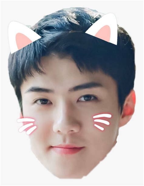 Sehun Exo Cute Oohsehun Sticker Linh Ling Png Exo Sehun Sehun Cute