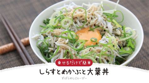 【ズボラ飯】3分で完成★乗せるだけで簡単「しらすとめかぶと大葉丼」【簡単レシピ・早い・美味しいズボラ飯】 │ 野菜料理レシピ