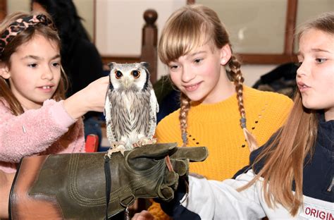 Visit Amersham: Official Top Things To Do and Places to Visit - Visit