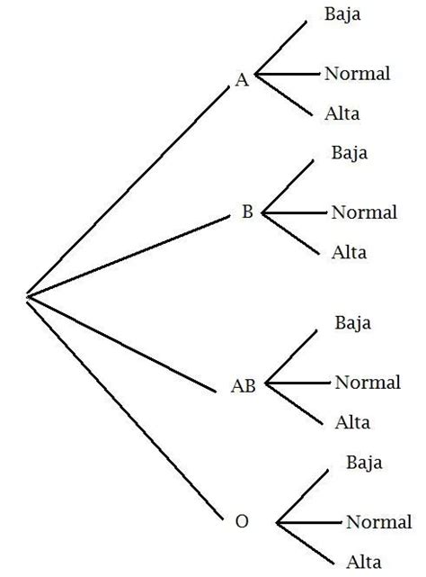 Arbol Esquema Imagui