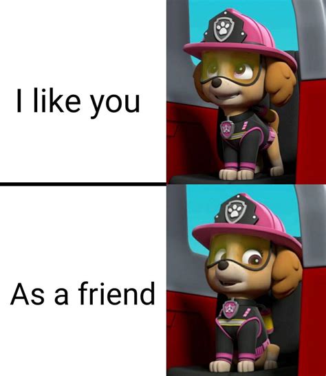 pawpatrolmemes