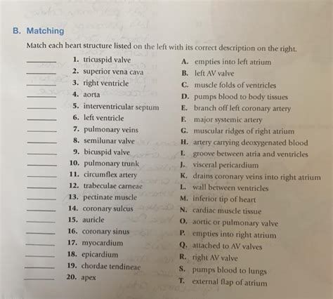 Solved B Matching Match Each Heart Structure Listed On The Chegg