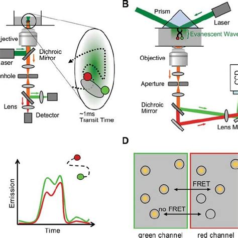 1 Principles Of Fluorescence Resonance Energy Transfer Fret A A