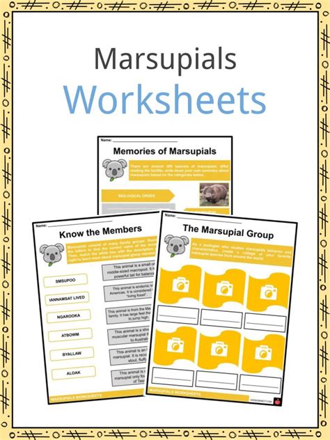 Marsupials Facts, Worksheets, Biological Order & Anatomy For Kids