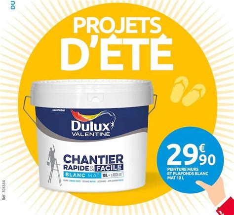 Promo Peinture Murs Et Plafonds Blanc Perfection Mat L V Chez Mr