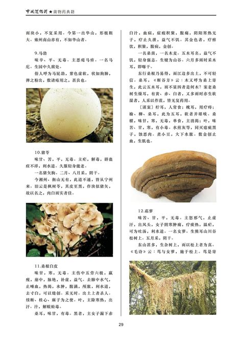 中国菌物医药杂志第四期北京千菌方菌物科学研究院