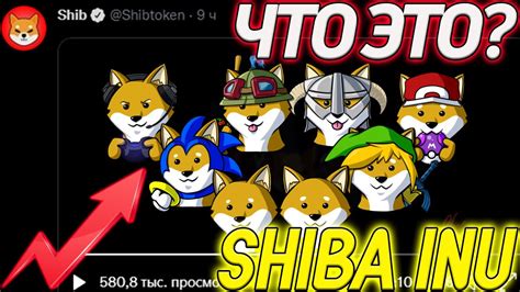 SHIBA INU ЗАГАДОЧНОЕ ВИДЕО ЧТО ЗНАЧИЛО? FLOKI INU МИРОВОЕ ПРИЗНАНИЕ ...