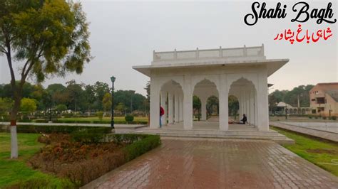 Walking In Rain Shahi Bagh Peshawar 4K Shalimar Royal Gardens