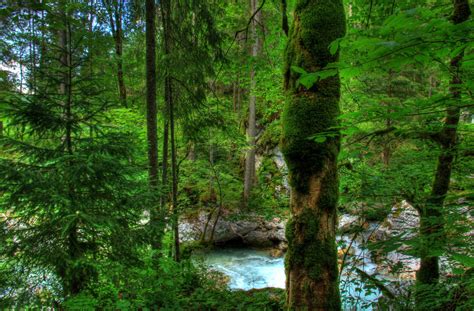 K K Vancouver Island National Parks Canada Parks Forests Rivers