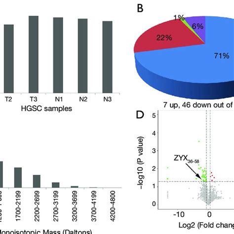 Peptide Zyx Significantly Promotes The Cell Apoptosis Of Ovarian