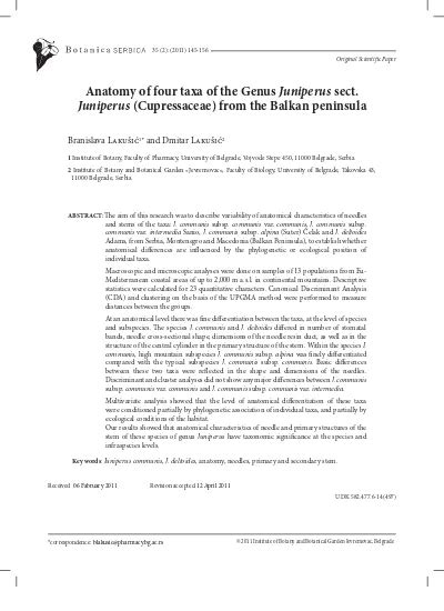 Anatomija Etiri Taksona Roda Juniperus L Sect Juniperus