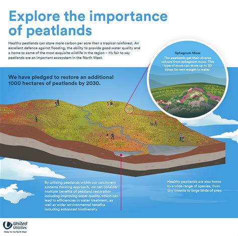 United Utilities Peatland Restoration