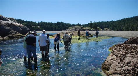 Cortes Island Camping