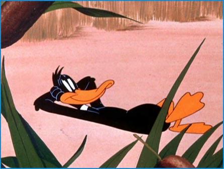 Daffy duck cartoons pictures - Cartoon