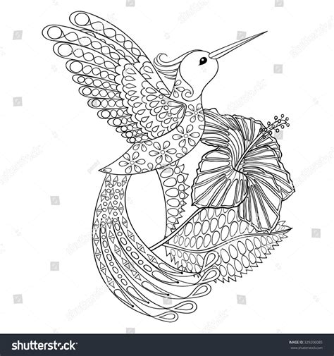 Coloring Page Hummingbird Hibiskus Zentangle Illustartion Stock Vector