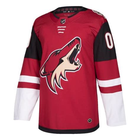 Arizona Coyotes Jersey History - Hockey Jersey Archive