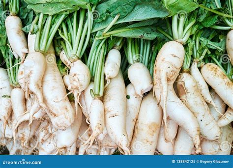 White Japanese Long Daikon Radish Top Down View Stock Image Image Of