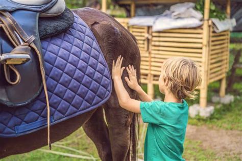 Beneficios de la equinoterapia para niños con trastornos CSC