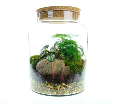 8l Medium Straight Glass Jar Closed Terrarium Kit With Living Moss And Forest Plants The Art