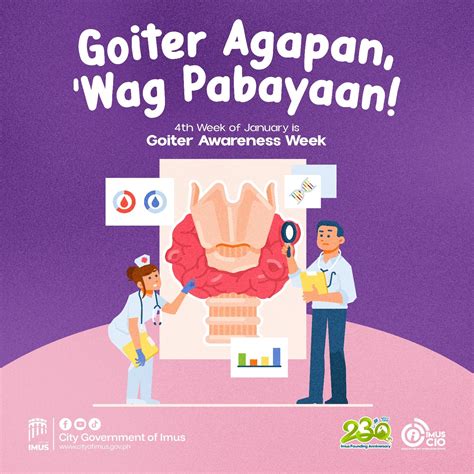 city ang pamahalaang lungsod ng imus