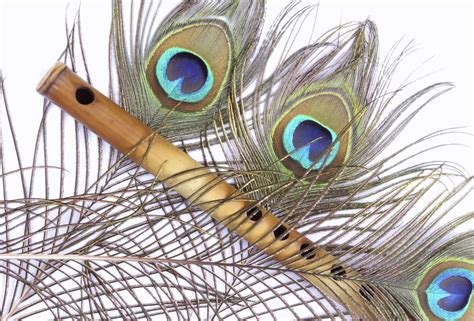 Flute And Peacock Feather Wallpapers Wallpaper Cave Riset