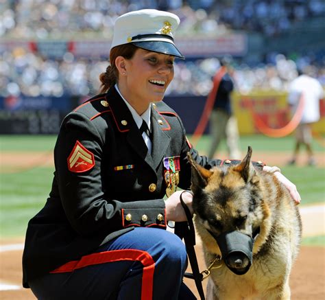 megan leavey 7