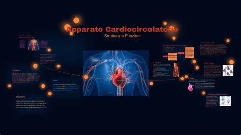 Apparato Cardiocircolatorio By Angelica Isidori On Prezi