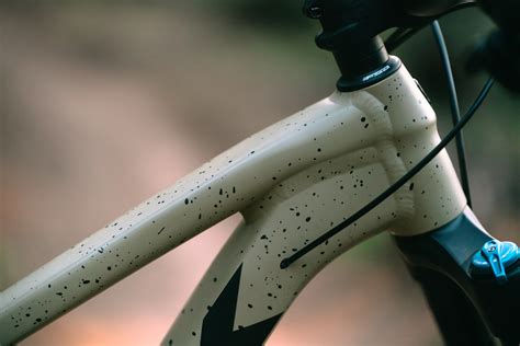 First Look 2022 Trek Roscoe Hardtail Pinkbike