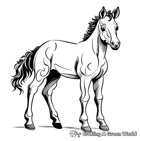 Foal Coloring Pages - Free & Printable!