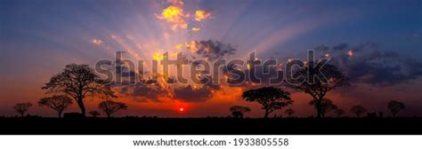 Sunrise In Africa: Over 113,598 Royalty-Free Licensable Stock Photos ...