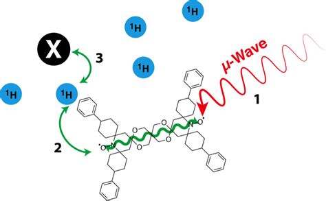 Dynamic Nuclear Polarization DNP Copéret Group ETH Zurich