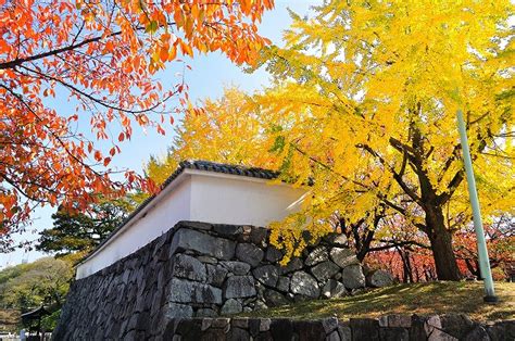 Fukuoka Castle Ruins Walk | Fukuoka Walks