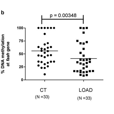 Genetic And Epigenetic Regulation Of Faah Gene A Levels Of Faah Mrna