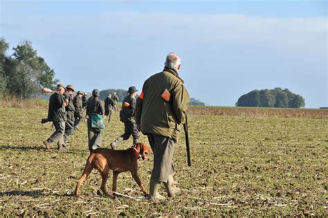 Ouverture Générale De La Chasse Les Dates Par Département Air And Nature