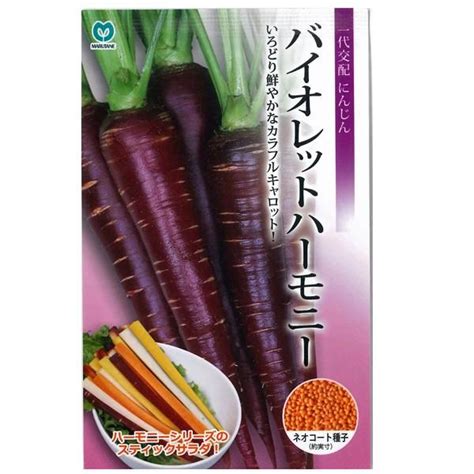 野菜の種種子 バイオレットハーモニー ニンジン にんじん キャロット 人参 ネオコート種子 320粒 （メール便発送） Vg02515